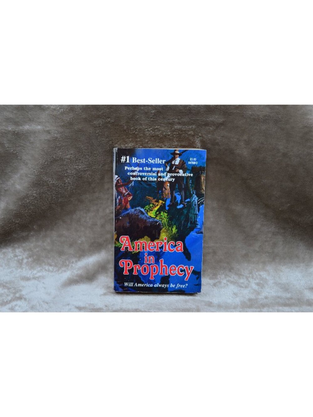 Vintage Paperback Book America In Prophecy EG White Historical Retro Art